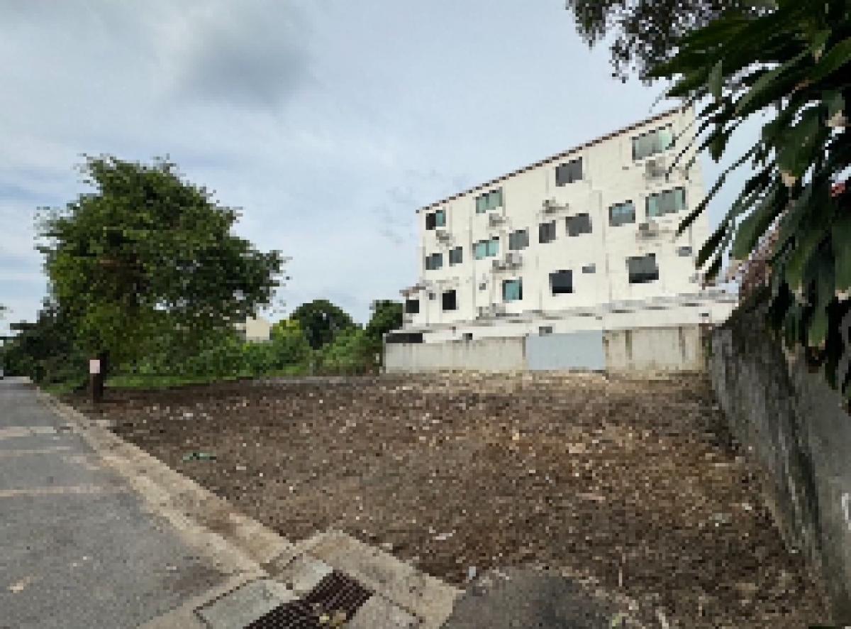 ขายที่ดินอ่อนนุช อุดมสุข : 28/02/2026, ที่ดินสวย 120 ตร.ว. สุขุมวิท 101 ราคาพิเศษ 12.9 ล้าน 
ลงทุนหรือสร้างบ้านในทำเลทอง ใกล้ BTS อ่อนนุช