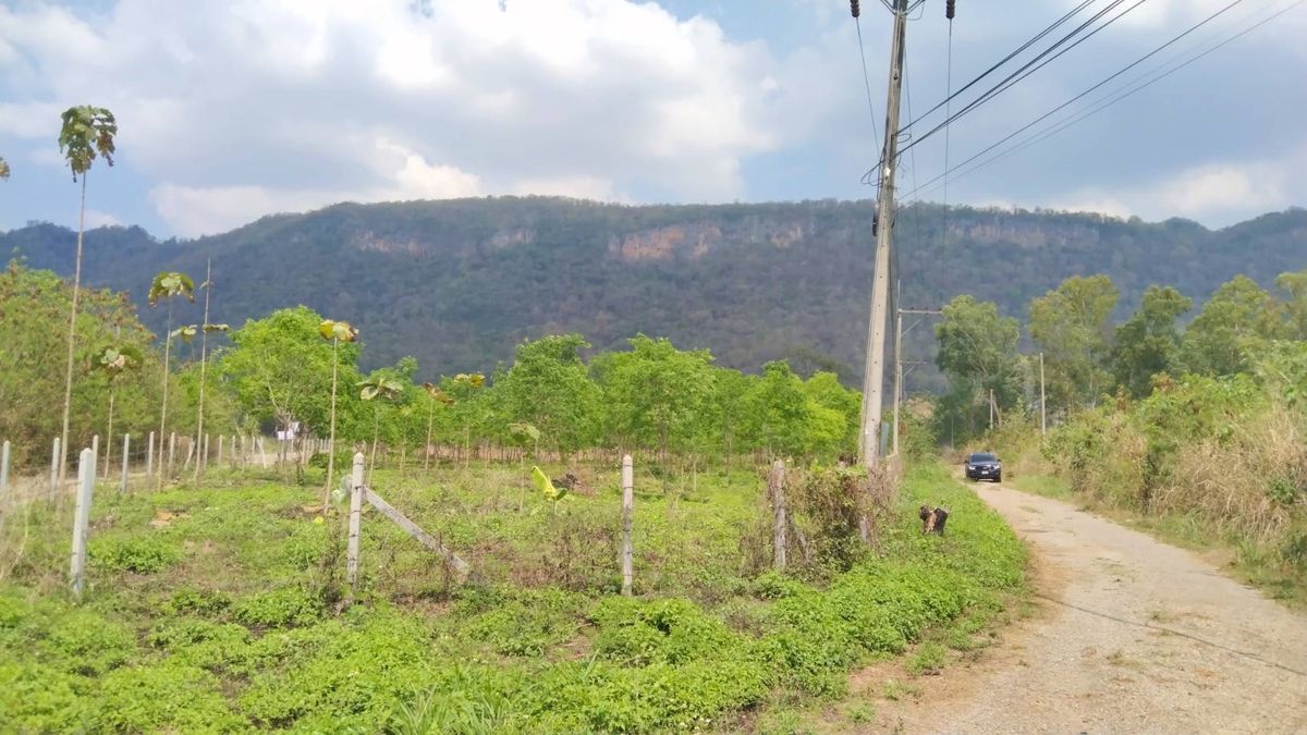 ขายที่ดินโคราช นครราชสีมา : #ที่ดินเขาใหญ่ ถ.ธนะรัชต์ มุ่งหน้าเขาใหญ่ 