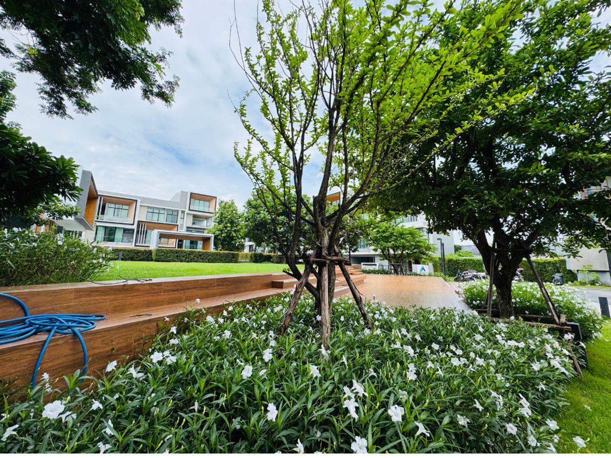 ขายทาวน์โฮมพัฒนาการ ศรีนครินทร์ : ขายขาดทุน! ทาวน์โฮมหรู 3.5 ชั้น แปลงมุม โครงการ Nirvana Define ศรีนครินทร์–พระราม 9