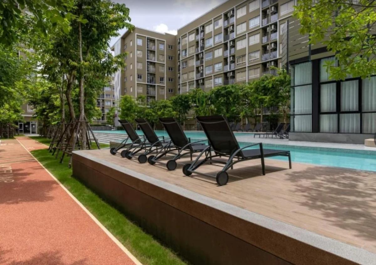 ขายคอนโดปทุมธานี รังสิต ธรรมศาสตร์ : (18939) Plum Condo Rangsit Alive