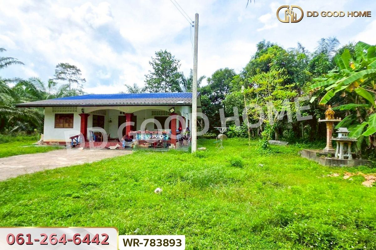 ขายที่ดินชุมพร : WR-783893 ที่ดิน 12 ไร่ 43.70 ตร.ว. หลังสวน ชุมพร ใกล้ โลตัสหลังสวน