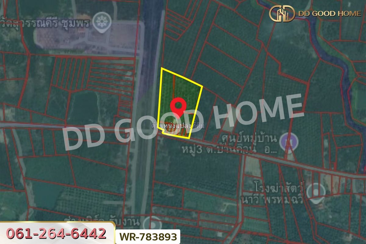 ขายที่ดินชุมพร : WR-783893 ที่ดิน 12 ไร่ 43.70 ตร.ว. หลังสวน ชุมพร ใกล้ โลตัสหลังสวน