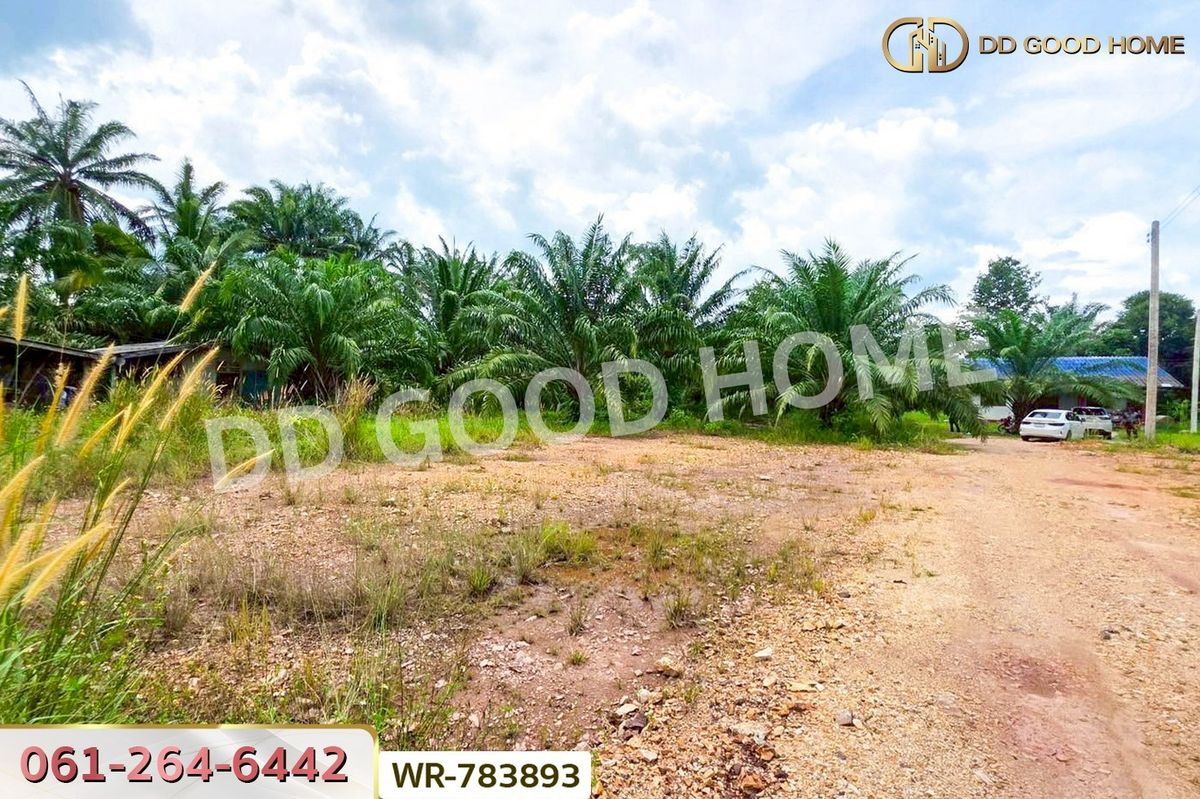 ขายที่ดินชุมพร : WR-783893 ที่ดิน 12 ไร่ 43.70 ตร.ว. หลังสวน ชุมพร ใกล้ โลตัสหลังสวน