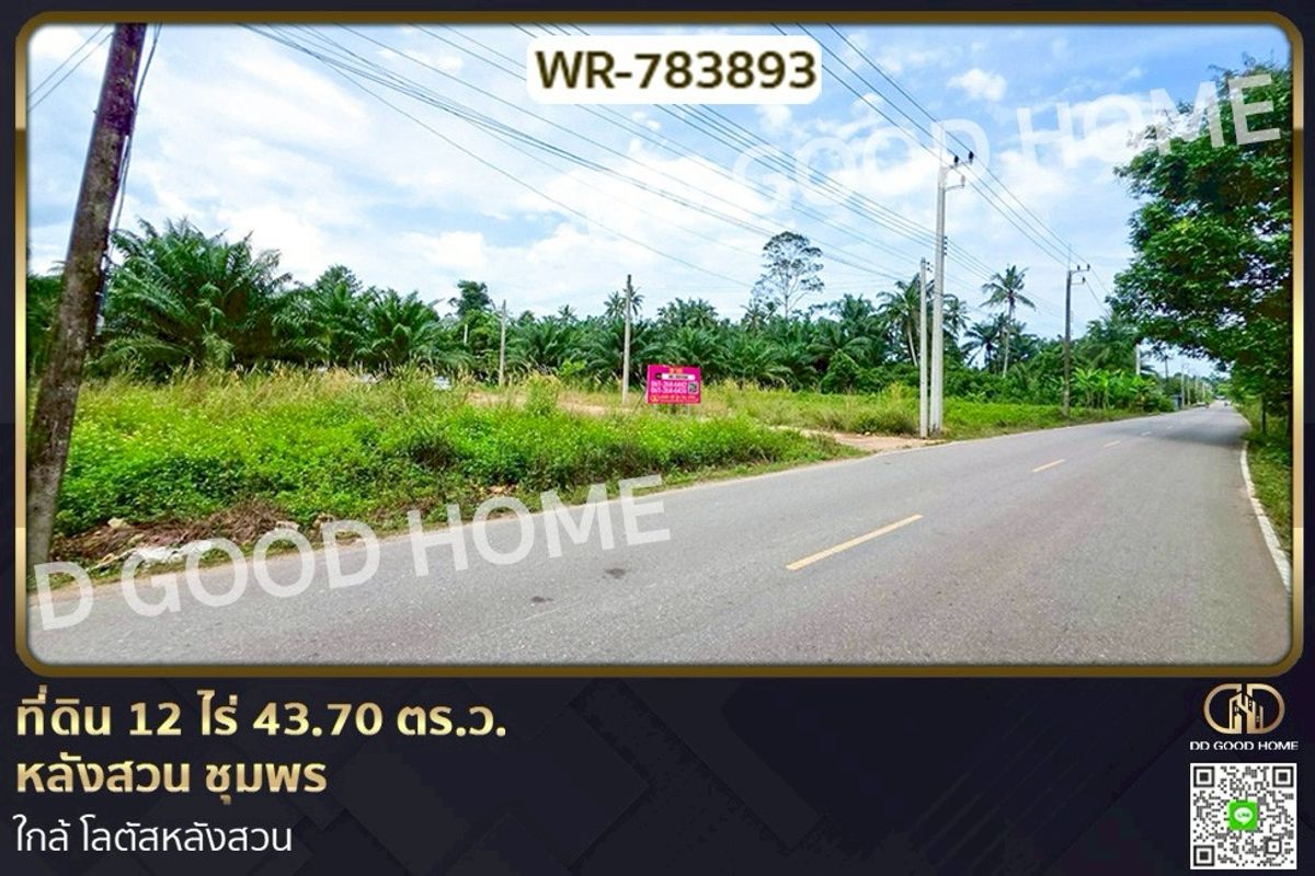 ขายที่ดินชุมพร : WR-783893 ที่ดิน 12 ไร่ 43.70 ตร.ว. หลังสวน ชุมพร ใกล้ โลตัสหลังสวน