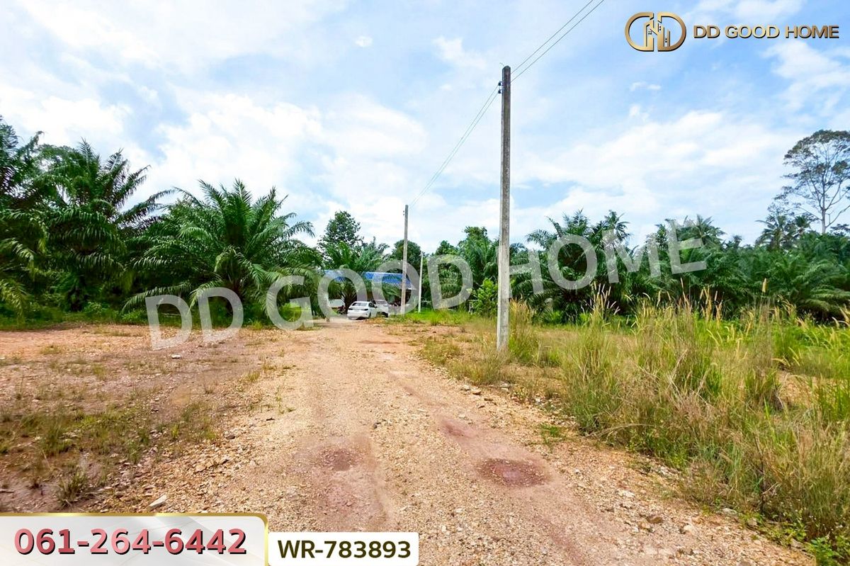 ขายที่ดินชุมพร : WR-783893 ที่ดิน 12 ไร่ 43.70 ตร.ว. หลังสวน ชุมพร ใกล้ โลตัสหลังสวน