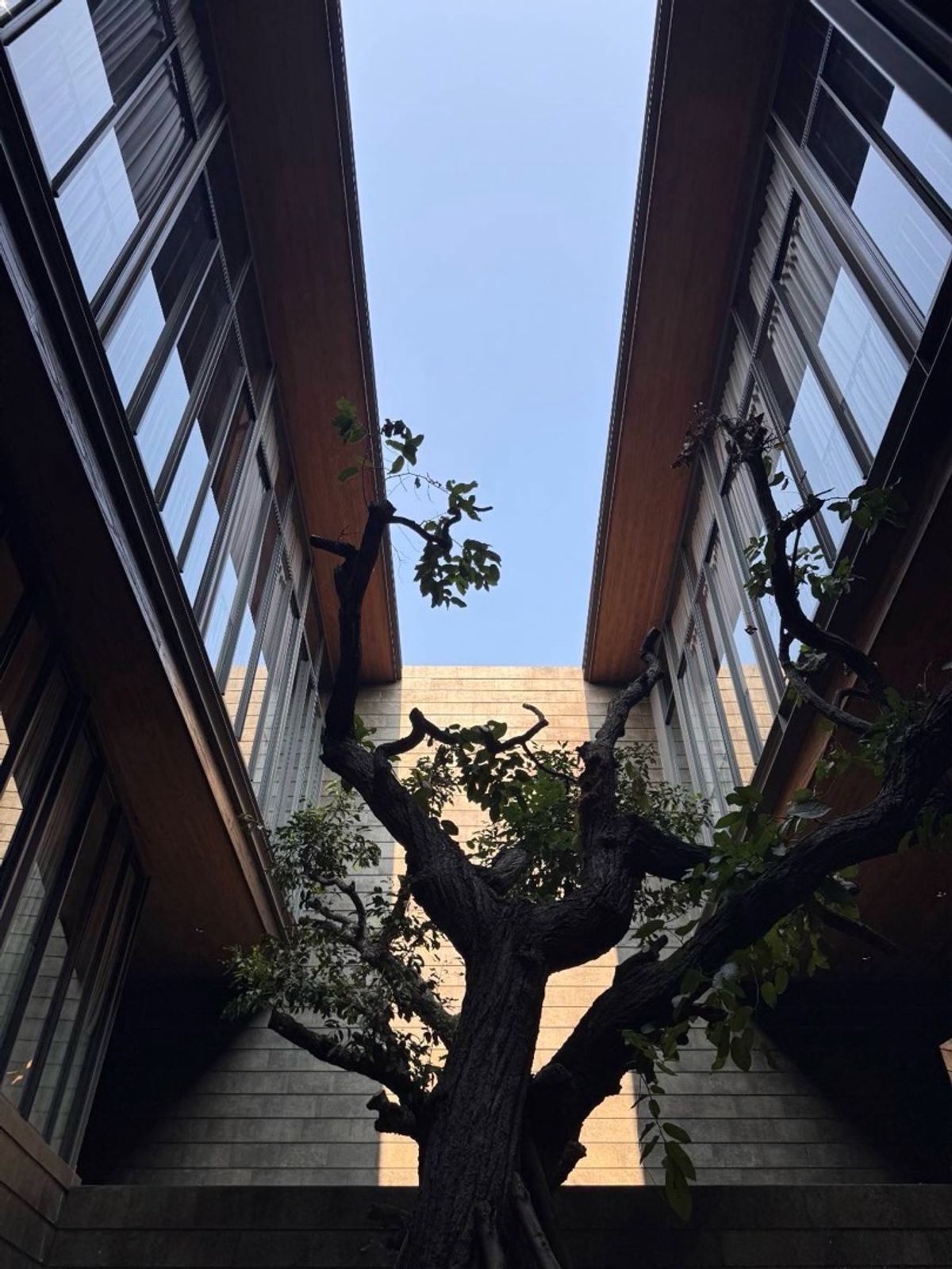 ขายบ้านเกษตรศาสตร์ รัชโยธิน : ขายบ้านเดี่ยวหรู 3 ชั้น รัชโยธิน พร้อมสระว่ายน้ำและลิฟต์ ใกล้ BTS รัชโยธิน พื้นที่ใช้สอย 720 ตร.ม.
