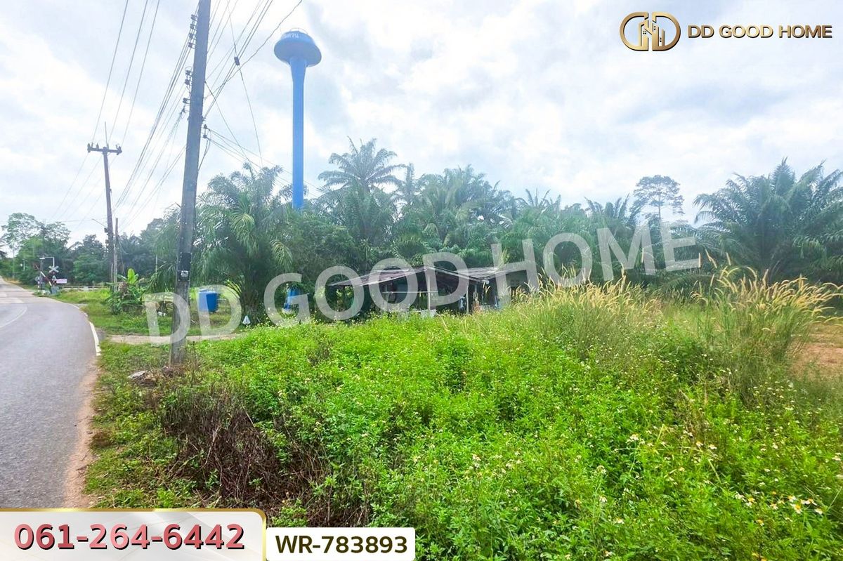 ขายที่ดินชุมพร : WR-783893 ที่ดิน 12 ไร่ 43.70 ตร.ว. หลังสวน ชุมพร ใกล้ โลตัสหลังสวน