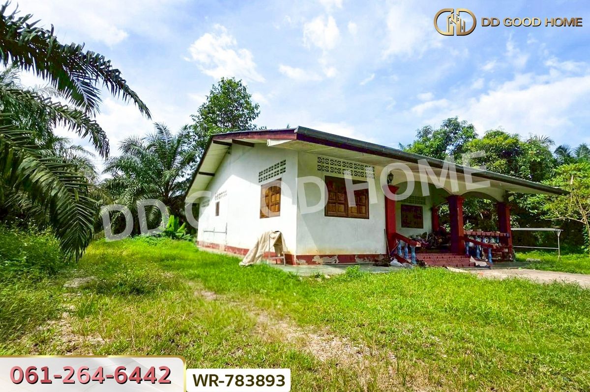 ขายที่ดินชุมพร : WR-783893 ที่ดิน 12 ไร่ 43.70 ตร.ว. หลังสวน ชุมพร ใกล้ โลตัสหลังสวน