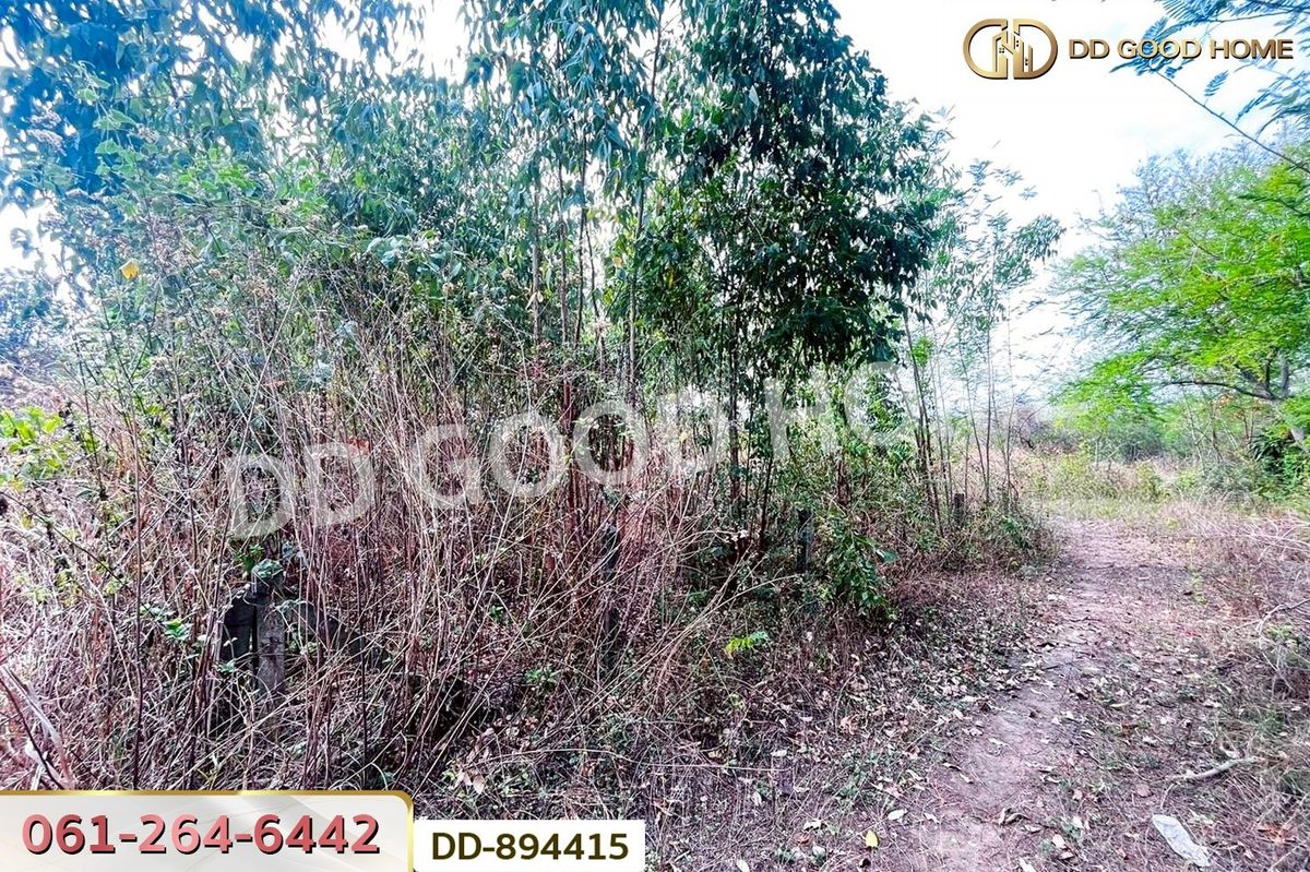 ขายที่ดินอุดรธานี : DD-894415 ที่ดินโนนสะอาด 100 ตร.ว. อุดรธานี ใกล้ที่ว่าการอำเภอโนนสะอาด