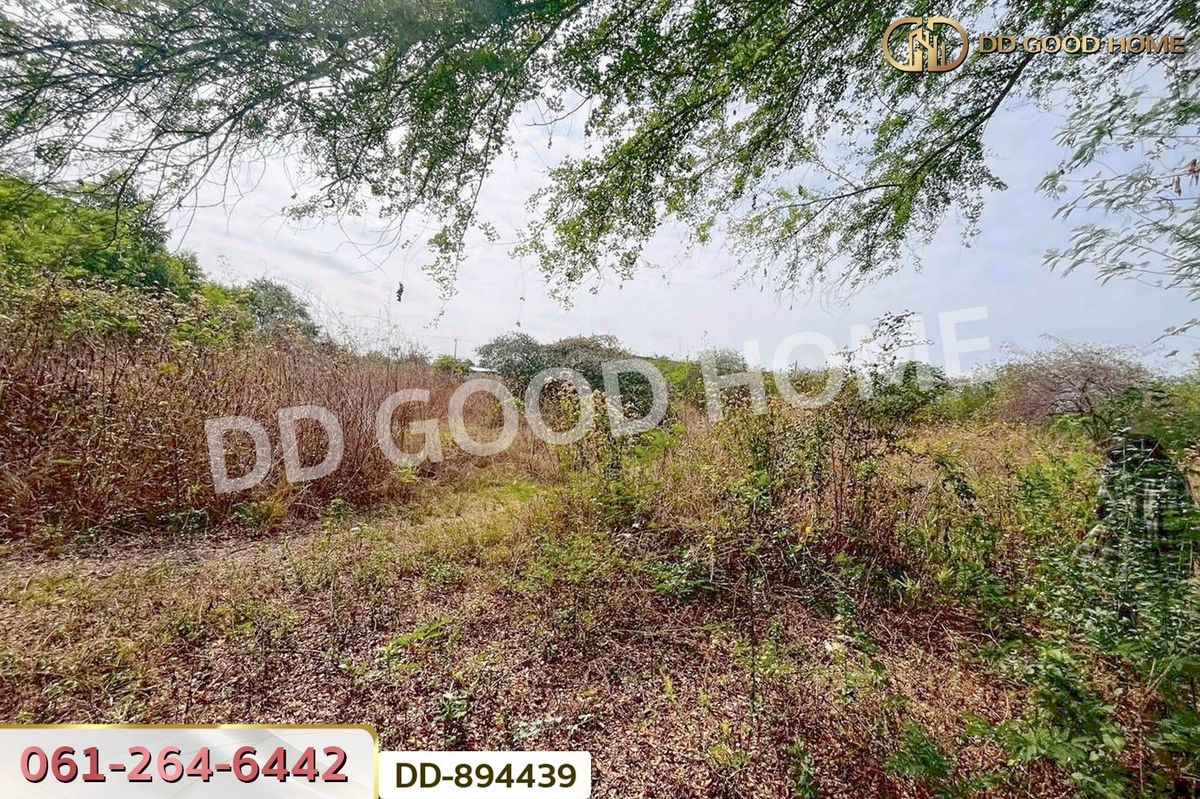 ขายที่ดินอุดรธานี : DD-894439 ที่ดินโนนสะอาด 100 ตร.ว. อุดรธานี ใกล้ที่ว่าการอำเภอโนนสะอาด