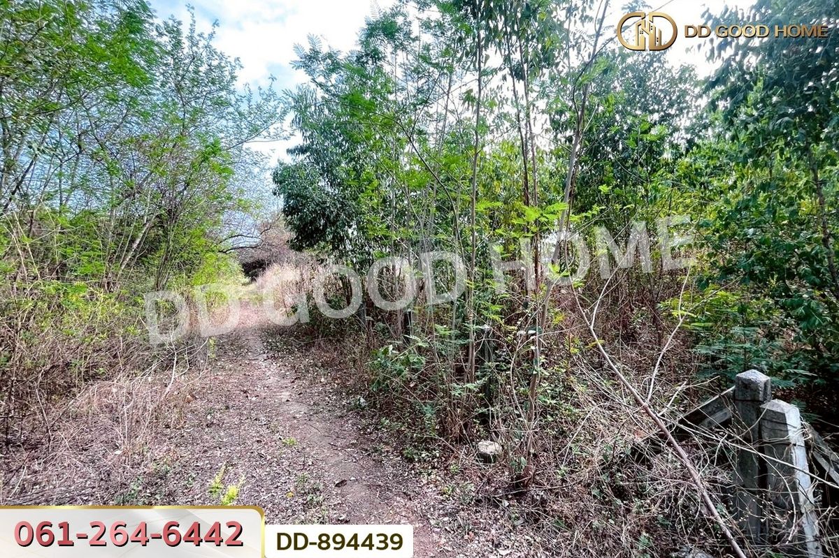 ขายที่ดินอุดรธานี : DD-894439 ที่ดินโนนสะอาด 100 ตร.ว. อุดรธานี ใกล้ที่ว่าการอำเภอโนนสะอาด