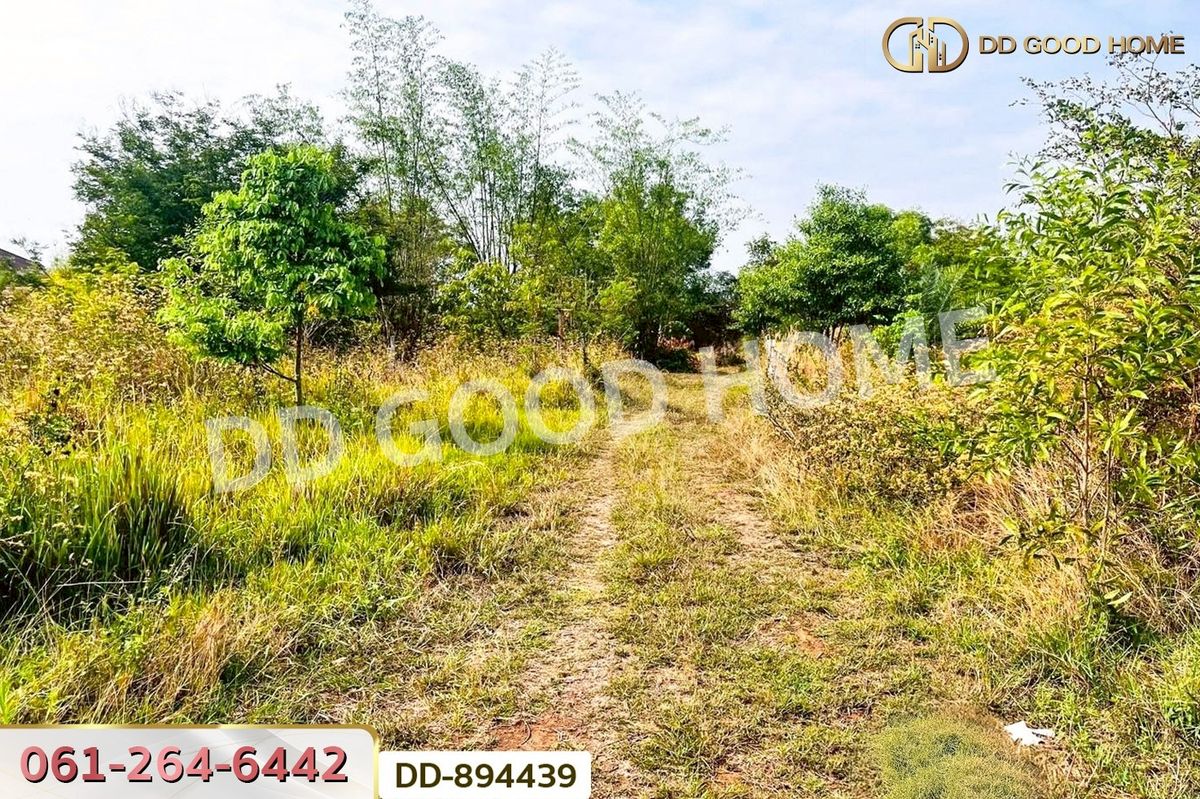 ขายที่ดินอุดรธานี : DD-894439 ที่ดินโนนสะอาด 100 ตร.ว. อุดรธานี ใกล้ที่ว่าการอำเภอโนนสะอาด