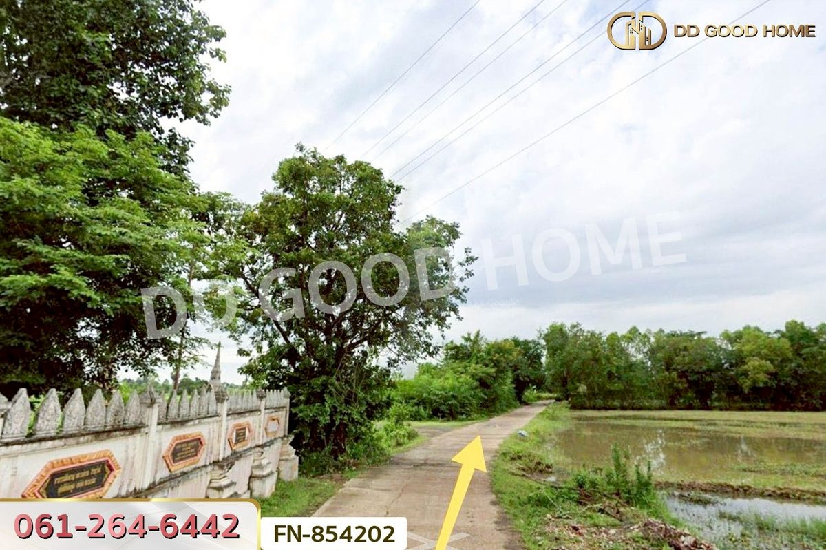 ขายที่ดินบุรีรัมย์ : FN-854202 ที่ดินบ้านยาง 30 ไร่ 157 ตร.ว. บุรีรัมย์ ใกล้สวนน้ำเพลย์พาร์ค