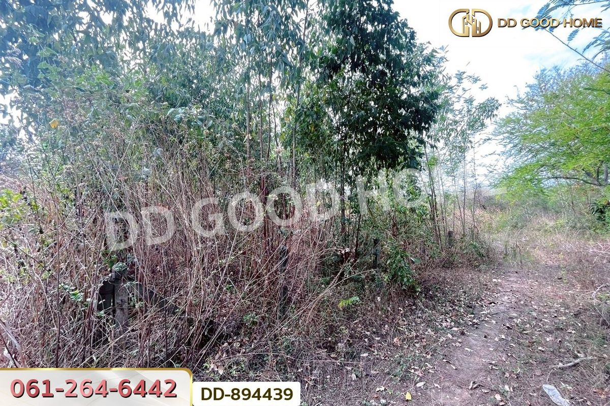 ขายที่ดินอุดรธานี : DD-894439 ที่ดินโนนสะอาด 100 ตร.ว. อุดรธานี ใกล้ที่ว่าการอำเภอโนนสะอาด