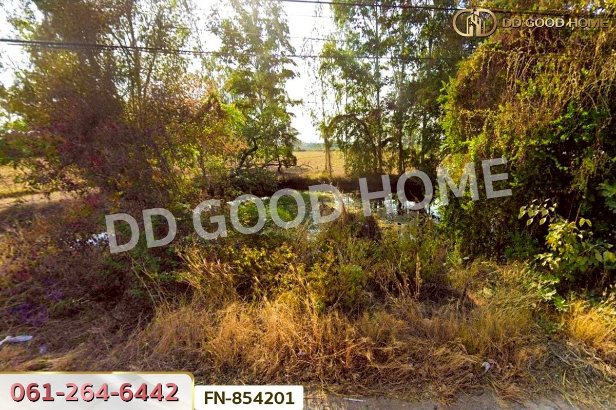 ขายที่ดินสุรินทร์ : FN-854201 ที่ดินชุมพลบุรี 5 ไร่ 105 ตร.ว. สุรินทร์ ใกล้ตลาดเทศบาลชุมพลบุรี