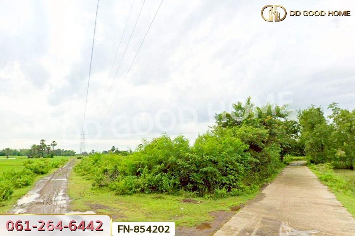 ขายที่ดินบุรีรัมย์ : FN-854202 ที่ดินบ้านยาง 30 ไร่ 157 ตร.ว. บุรีรัมย์ ใกล้สวนน้ำเพลย์พาร์ค