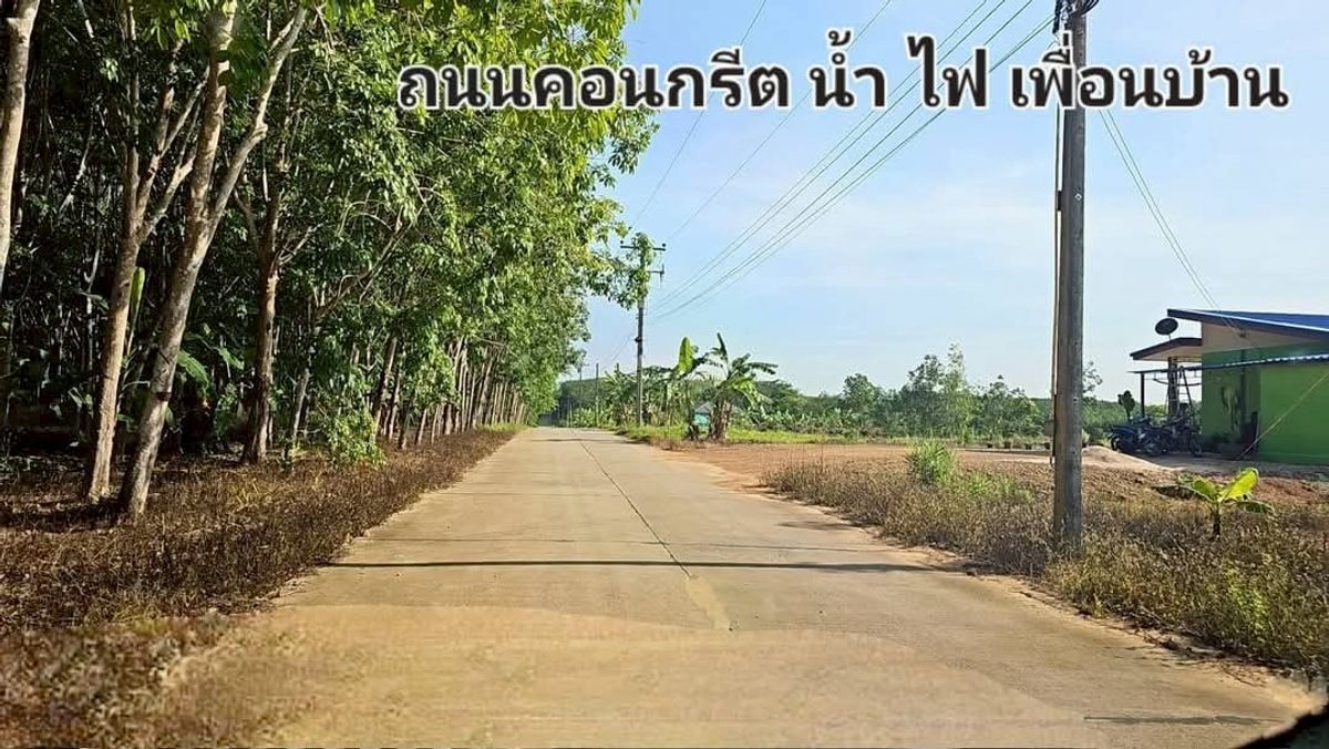 ขายที่ดินระยอง : ที่ดินฉโนด สี่เหลี่ยมแปลงสวย บรรยากาสดี มีเพื่อนบ้าน น้ำ ไฟ ถนนคอนกรีต เหมาะสร้างบ้านพักอาศัย