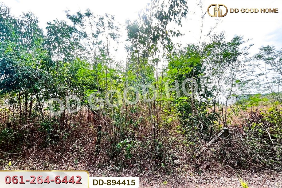 ขายที่ดินอุดรธานี : DD-894415 ที่ดินโนนสะอาด 100 ตร.ว. อุดรธานี ใกล้ที่ว่าการอำเภอโนนสะอาด