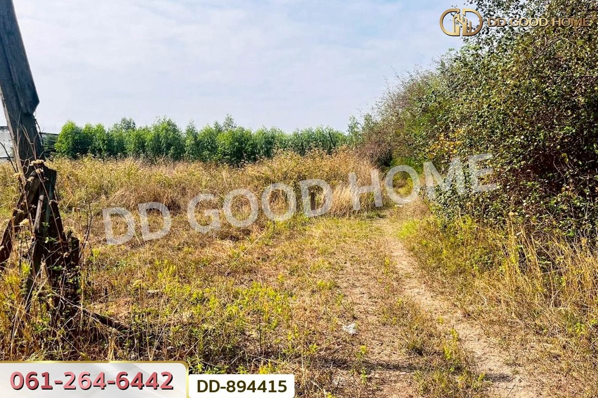 ขายที่ดินอุดรธานี : DD-894415 ที่ดินโนนสะอาด 100 ตร.ว. อุดรธานี ใกล้ที่ว่าการอำเภอโนนสะอาด