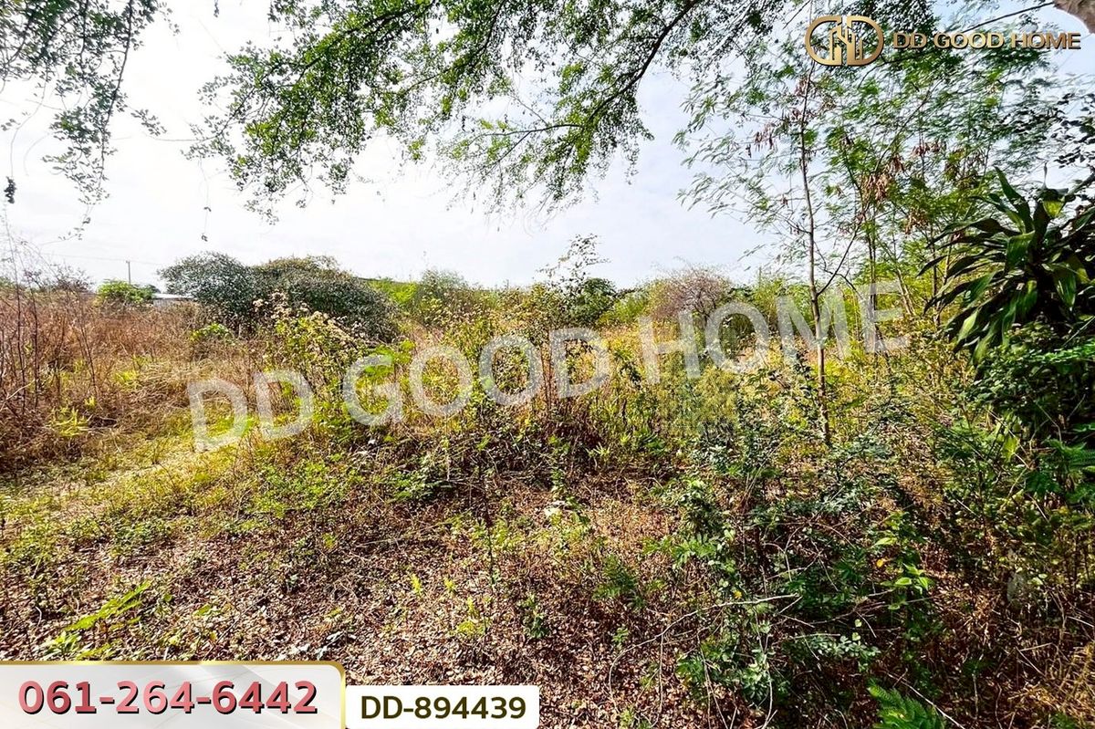 ขายที่ดินอุดรธานี : DD-894439 ที่ดินโนนสะอาด 100 ตร.ว. อุดรธานี ใกล้ที่ว่าการอำเภอโนนสะอาด