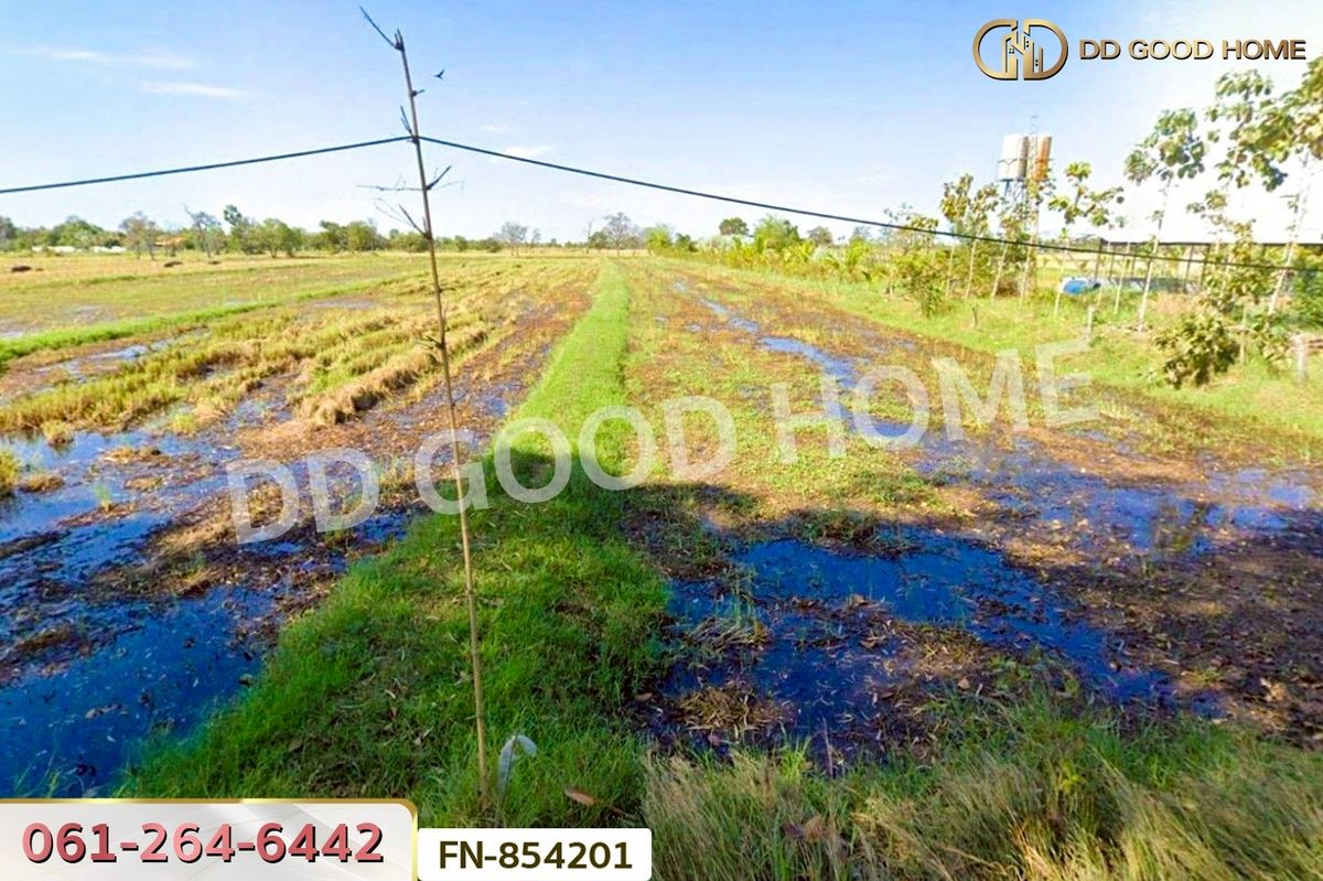 ขายที่ดินสุรินทร์ : FN-854201 ที่ดินชุมพลบุรี 5 ไร่ 105 ตร.ว. สุรินทร์ ใกล้ตลาดเทศบาลชุมพลบุรี