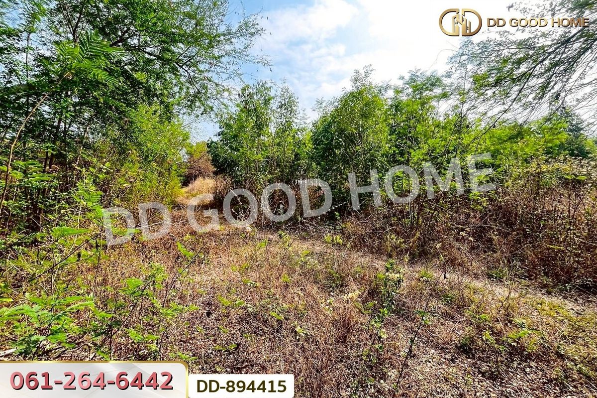 ขายที่ดินอุดรธานี : DD-894415 ที่ดินโนนสะอาด 100 ตร.ว. อุดรธานี ใกล้ที่ว่าการอำเภอโนนสะอาด