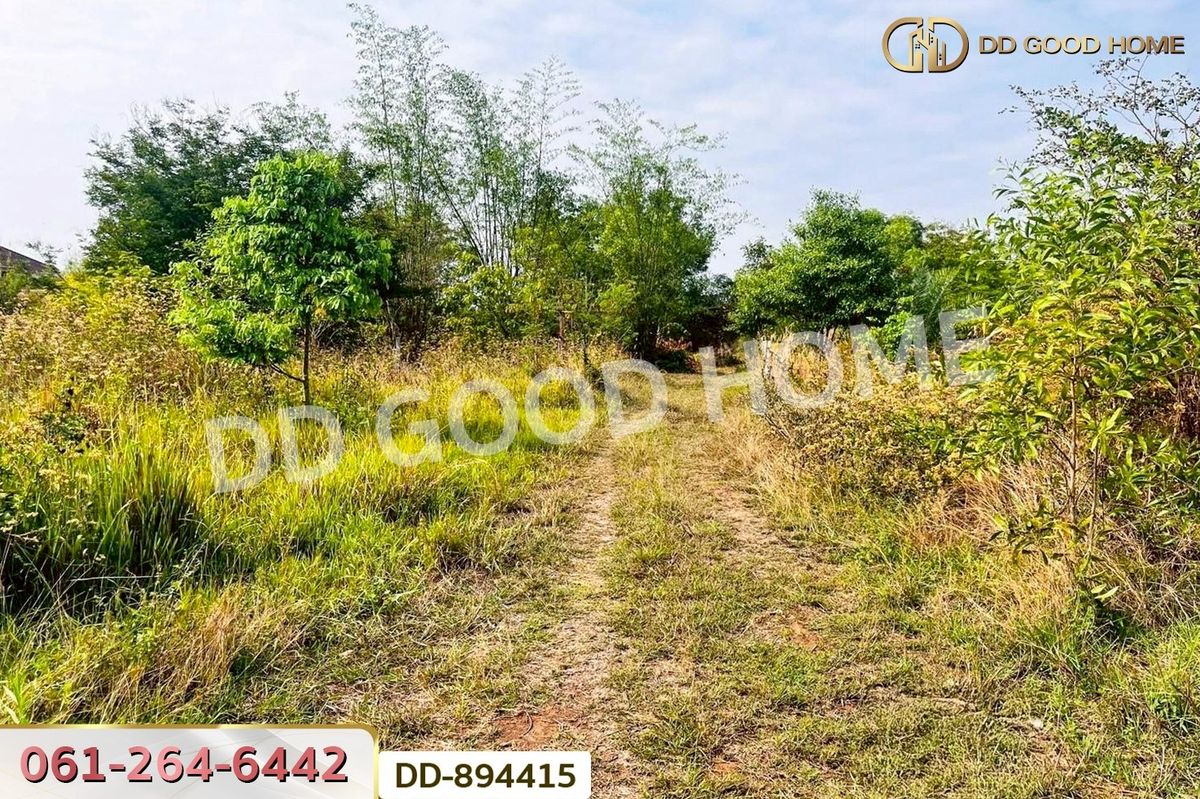 ขายที่ดินอุดรธานี : DD-894415 ที่ดินโนนสะอาด 100 ตร.ว. อุดรธานี ใกล้ที่ว่าการอำเภอโนนสะอาด