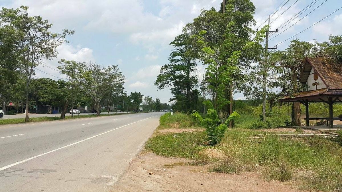 ขายที่ดินระยอง : ที่ดิน 35 ไร่ วังจันทร์ ระยอง / ไร่ละ 1.5 ล้าน (ขาย), Land 35 Rai Wang Chan Rayong / 1.5M per Rai (FOR SALE) NUT2075