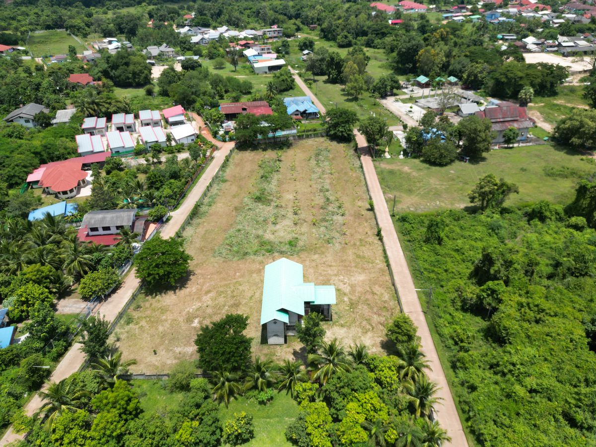 ขายที่ดินสกลนคร : ขายที่ดินสกลนคร 3-3-28 ไร่ ซอยหนองมันปลา 10 อำเภอเมืองสกลนคร แปลงสวยมาก ทำเลดีมาก ราคาดีสุดๆ