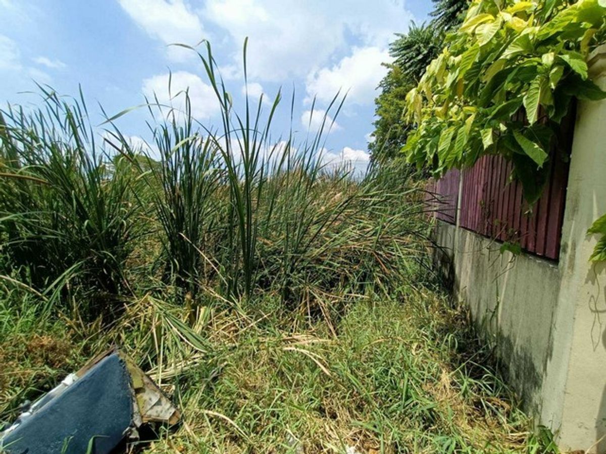 ขายที่ดินพัฒนาการ ศรีนครินทร์ : ขายที่ดินเปล่าทำเลยอดนิยมย่านพัฒนาการ ซอย อ่อนนุช 70/1 (N.642)