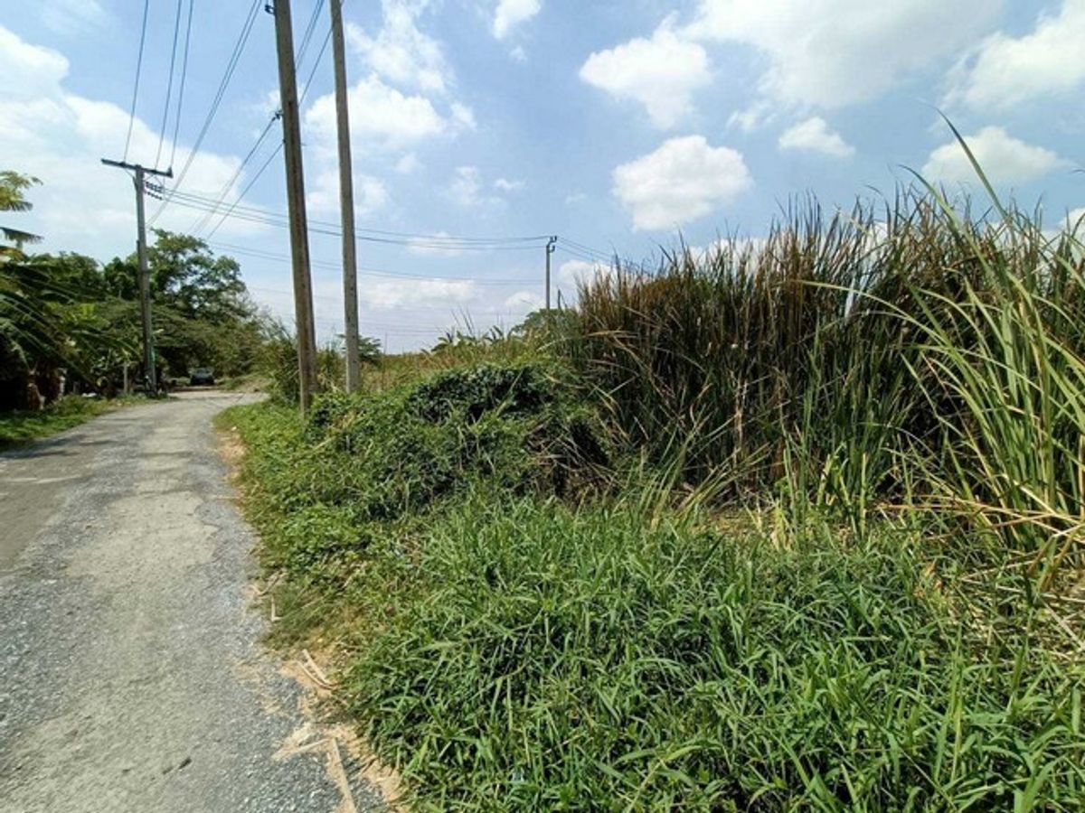 ขายที่ดินพัฒนาการ ศรีนครินทร์ : ขายที่ดินเปล่าทำเลยอดนิยมย่านพัฒนาการ ซอย อ่อนนุช 70/1 (N.642)