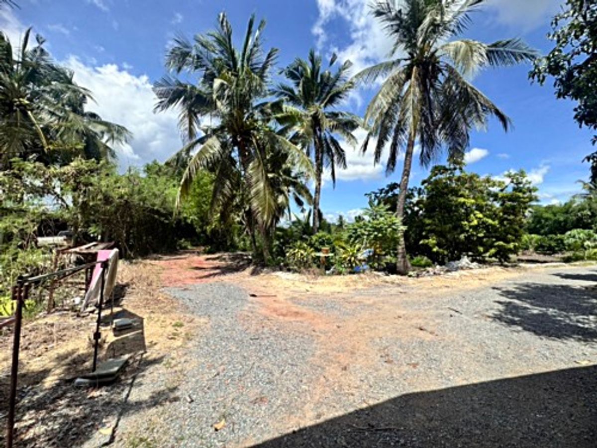 ขายที่ดินนครปฐม : ขายที่ดินสวนผลไม้ อำเภอสามพราน ตำบลคลองจินดา นครปฐม 25 ไร่ (N.1737)