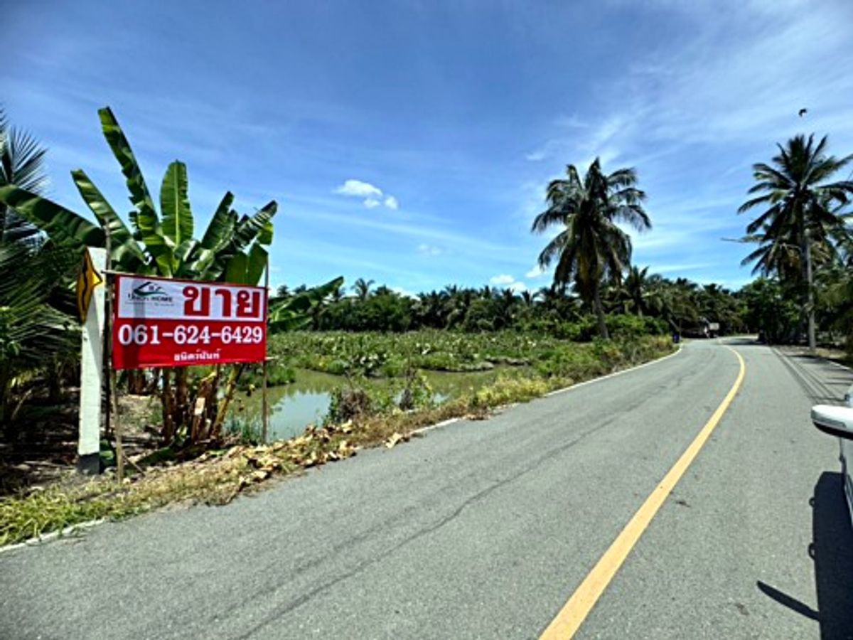 ขายที่ดินนครปฐม : ขายที่ดินสวนผลไม้ อำเภอสามพราน ตำบลคลองจินดา นครปฐม 25 ไร่ (N.1737)