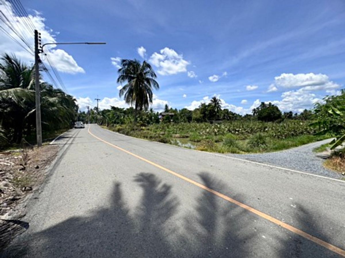 ขายที่ดินนครปฐม : ขายที่ดินสวนผลไม้ อำเภอสามพราน ตำบลคลองจินดา นครปฐม 25 ไร่ (N.1737)