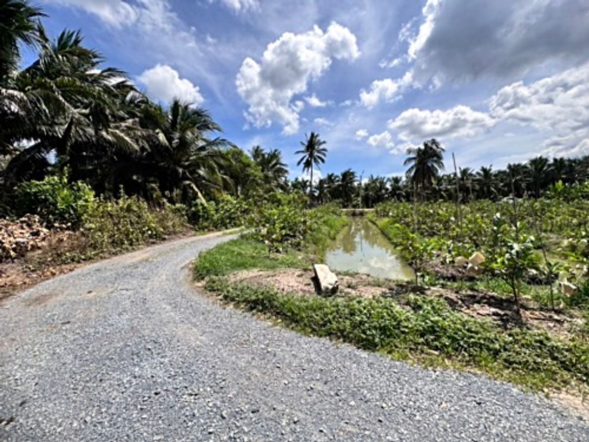 ขายที่ดินนครปฐม : ขายที่ดินสวนผลไม้ อำเภอสามพราน ตำบลคลองจินดา นครปฐม 25 ไร่ (N.1737)