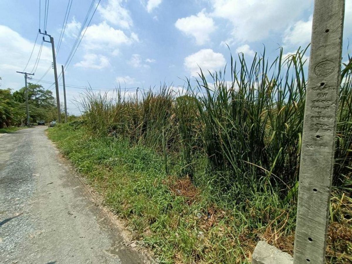 ขายที่ดินพัฒนาการ ศรีนครินทร์ : ขายที่ดินเปล่าทำเลยอดนิยมย่านพัฒนาการ ซอย อ่อนนุช 70/1 (N.642)