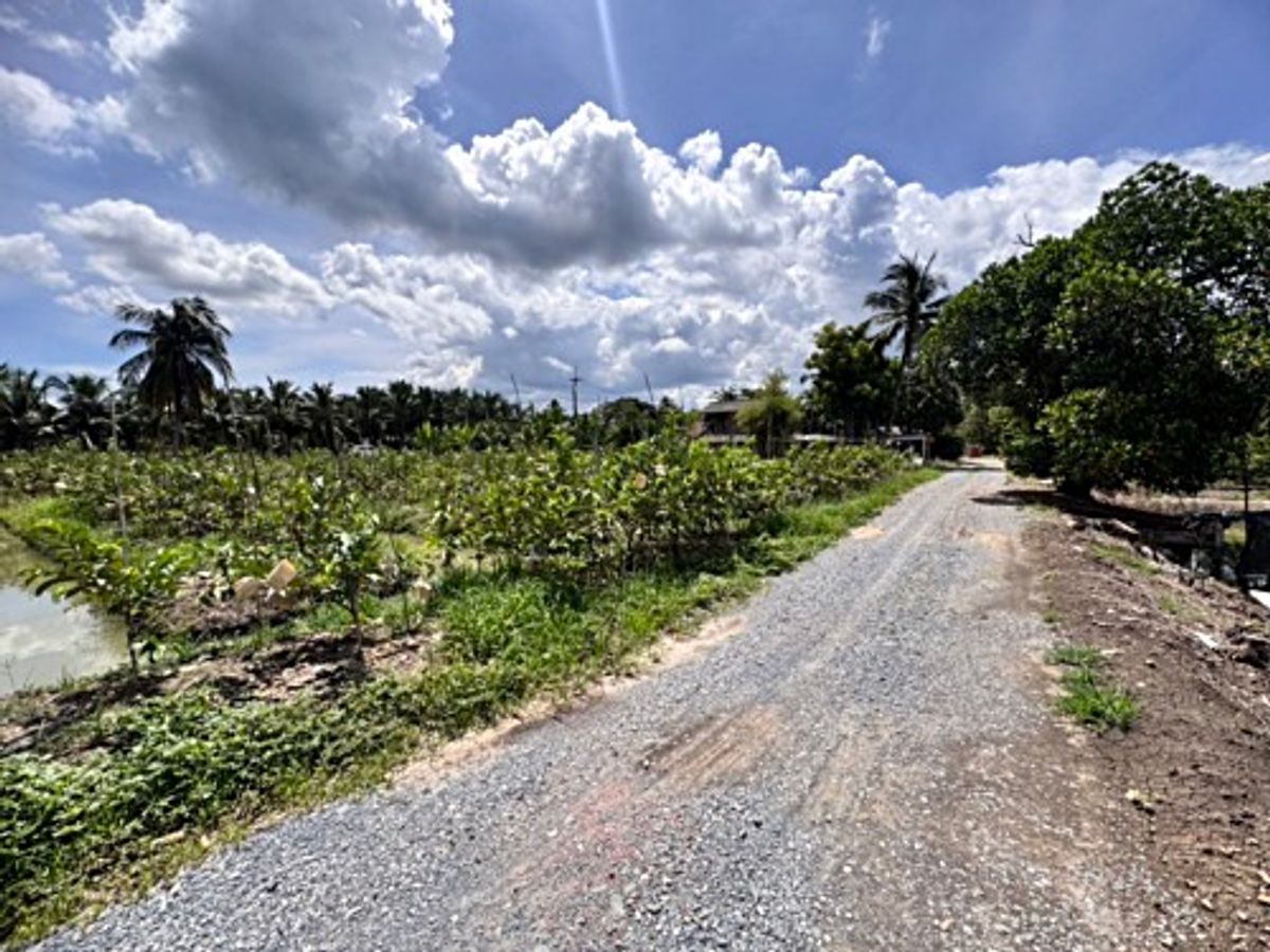 ขายที่ดินนครปฐม : ขายที่ดินสวนผลไม้ อำเภอสามพราน ตำบลคลองจินดา นครปฐม 25 ไร่ (N.1737)