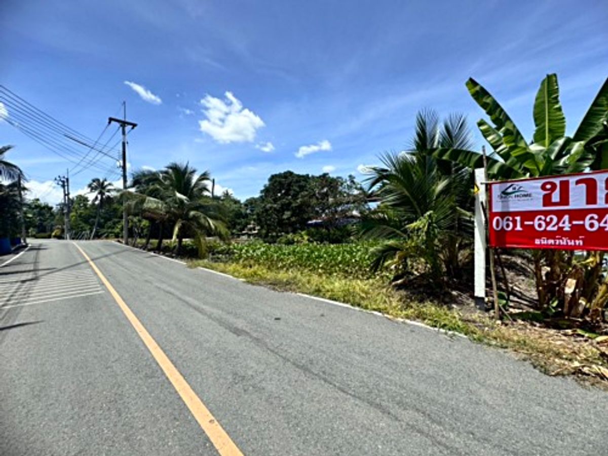 ขายที่ดินนครปฐม : ขายที่ดินสวนผลไม้ อำเภอสามพราน ตำบลคลองจินดา นครปฐม 25 ไร่ (N.1737)