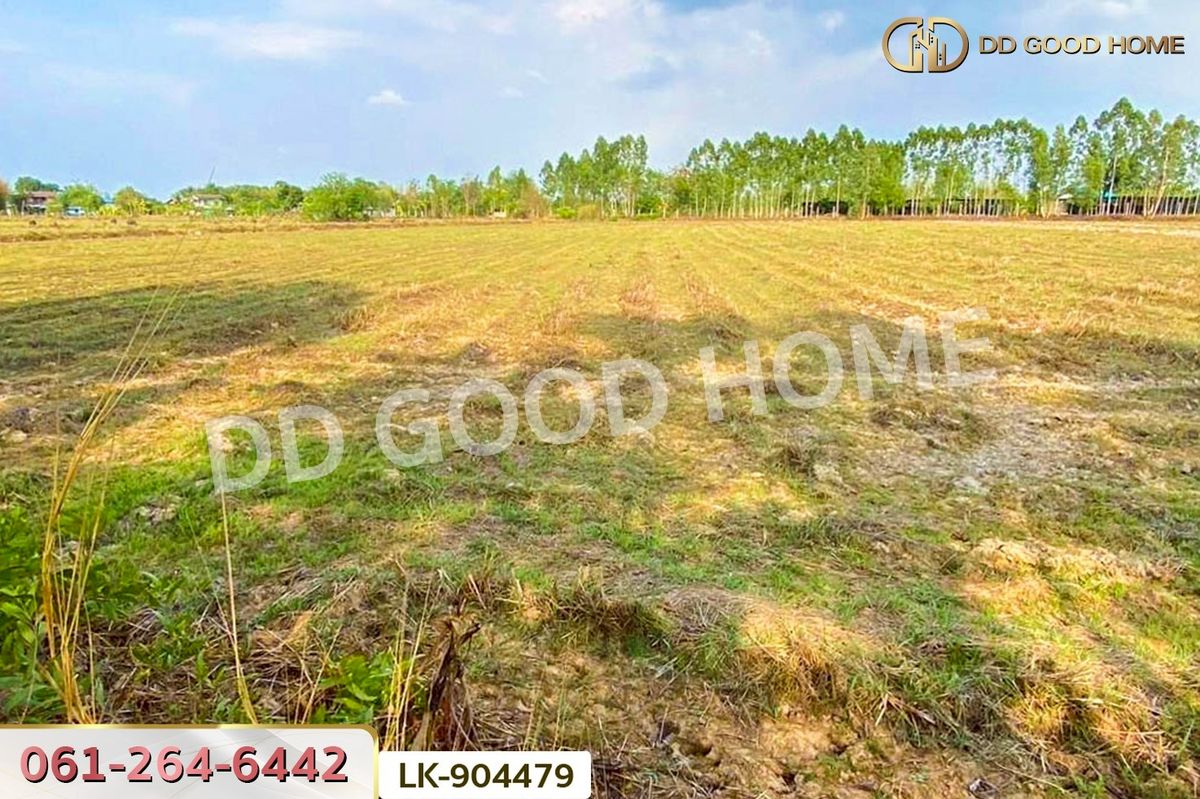 ขายที่ดินปราจีนบุรี : NI-904479 ที่ดินศรีมหาโพธิ 24 ไร่ 112 ตร.ว. ปราจีนบุรี ใกล้วัดหัวซาธรรมิการาม