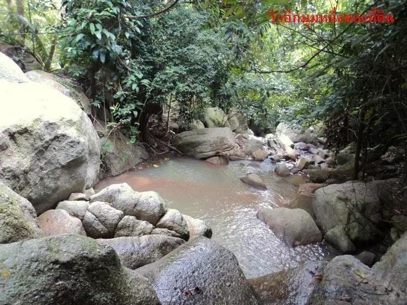 For SaleLandKoh Samui, Surat Thani : 🔥Urgent Sale🔥 Land on Koh Samui, rich in nature, waterfalls, streams, mountain and sea views (12 plots, not divided)