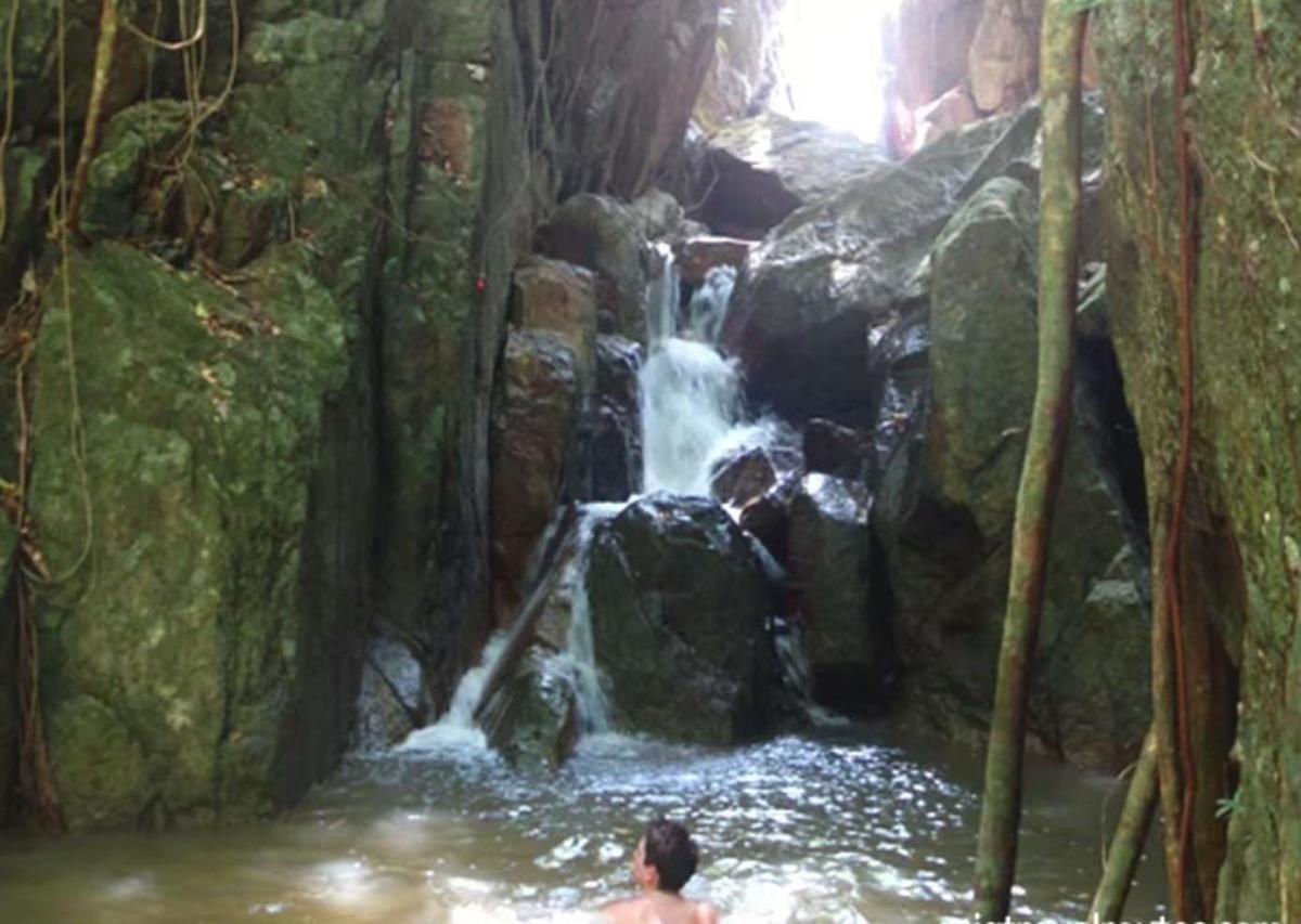 For SaleLandKoh Samui, Surat Thani : 🔥Urgent Sale🔥 Land on Koh Samui, rich in nature, waterfalls, streams, mountain and sea views (12 plots, not divided)