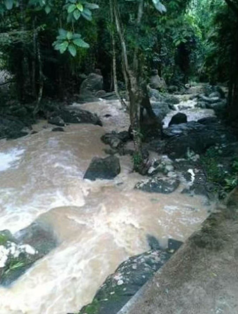 For SaleLandKoh Samui, Surat Thani : 🔥Urgent Sale🔥 Land on Koh Samui, rich in nature, waterfalls, streams, mountain and sea views (12 plots, not divided)