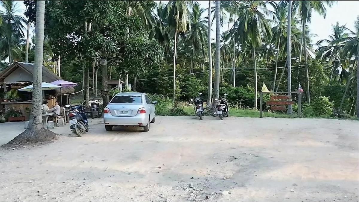 For SaleLandKoh Samui, Surat Thani : 🔥Urgent Sale🔥 Land on Koh Samui, rich in nature, waterfalls, streams, mountain and sea views (12 plots, not divided)