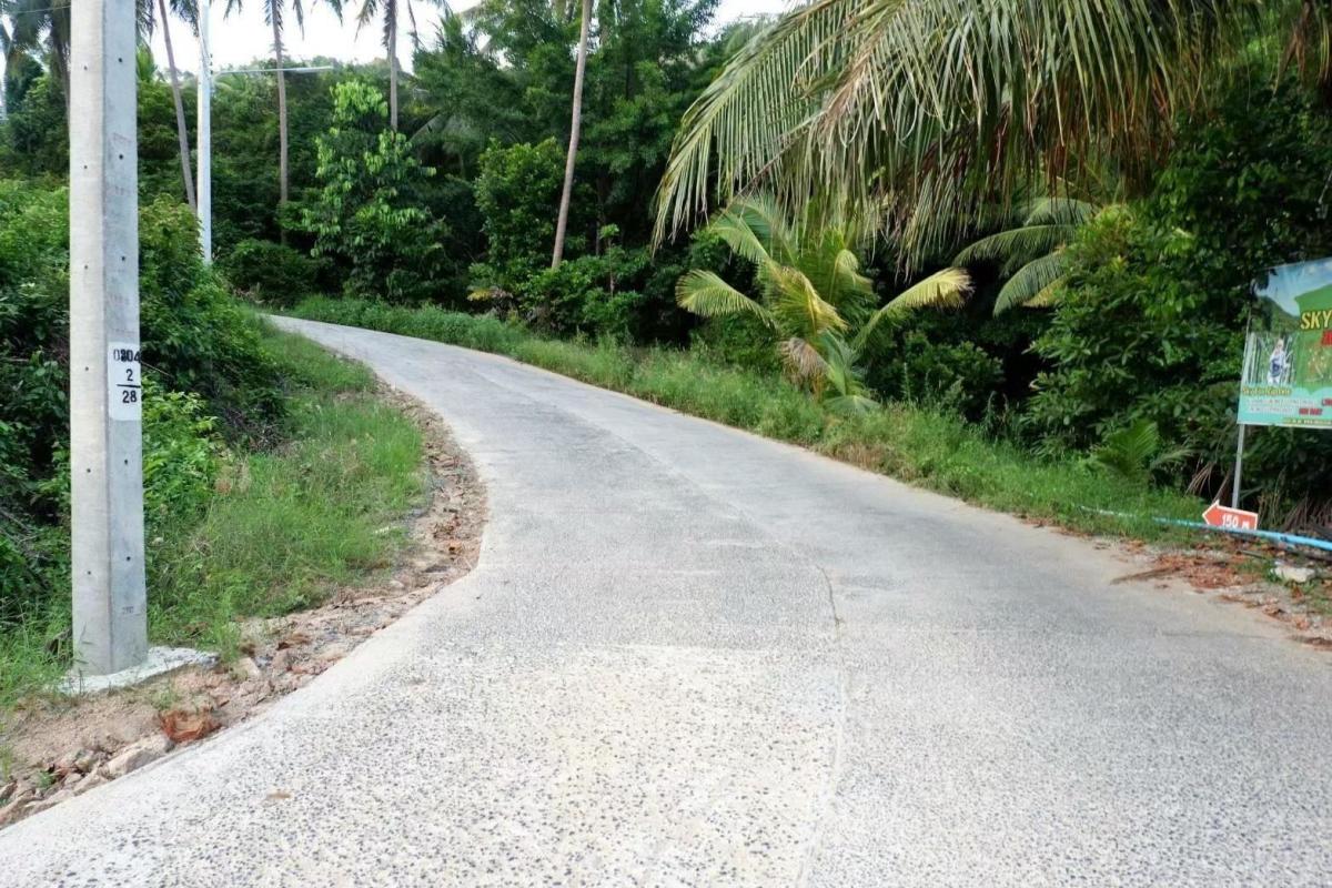 For SaleLandKoh Samui, Surat Thani : 🔥Urgent Sale🔥 Land on Koh Samui, rich in nature, waterfalls, streams, mountain and sea views (12 plots, not divided)