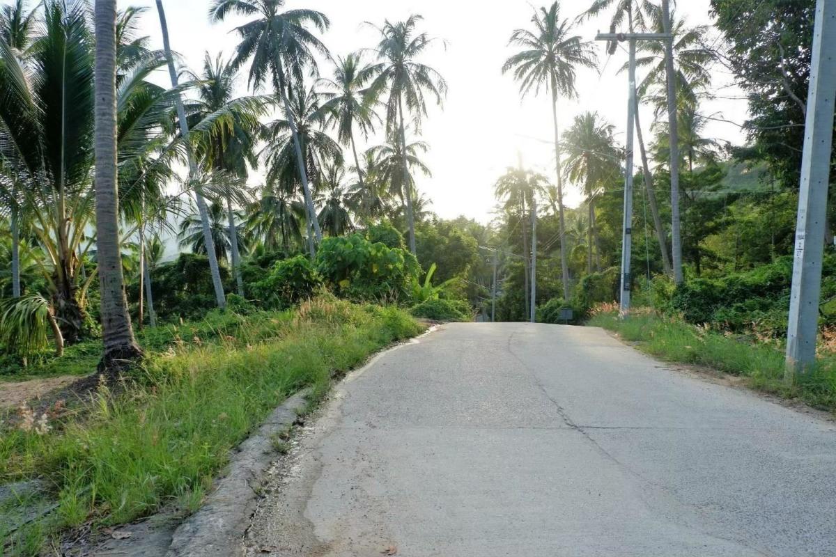 For SaleLandKoh Samui, Surat Thani : 🔥Urgent Sale🔥 Land on Koh Samui, rich in nature, waterfalls, streams, mountain and sea views (12 plots, not divided)