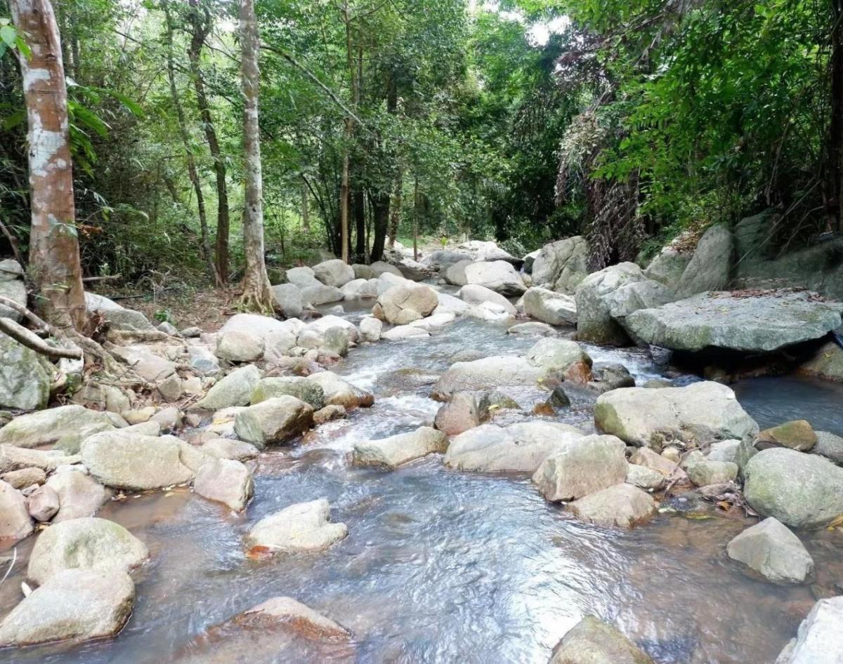 For SaleLandKoh Samui, Surat Thani : 🔥Urgent Sale🔥 Land on Koh Samui, rich in nature, waterfalls, streams, mountain and sea views (12 plots, not divided)