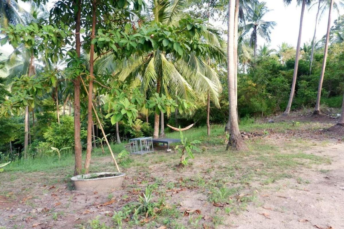 For SaleLandKoh Samui, Surat Thani : 🔥Urgent Sale🔥 Land on Koh Samui, rich in nature, waterfalls, streams, mountain and sea views (12 plots, not divided)