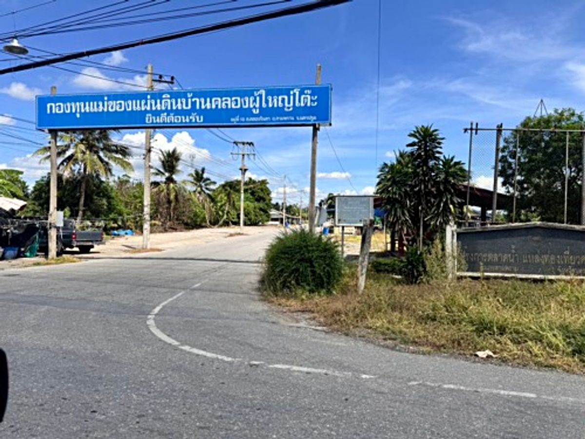 ขายที่ดินนครปฐม : ขายที่ดินสวนผลไม้ อำเภอสามพราน ตำบลคลองจินดา นครปฐม 25 ไร่ (N.1737)