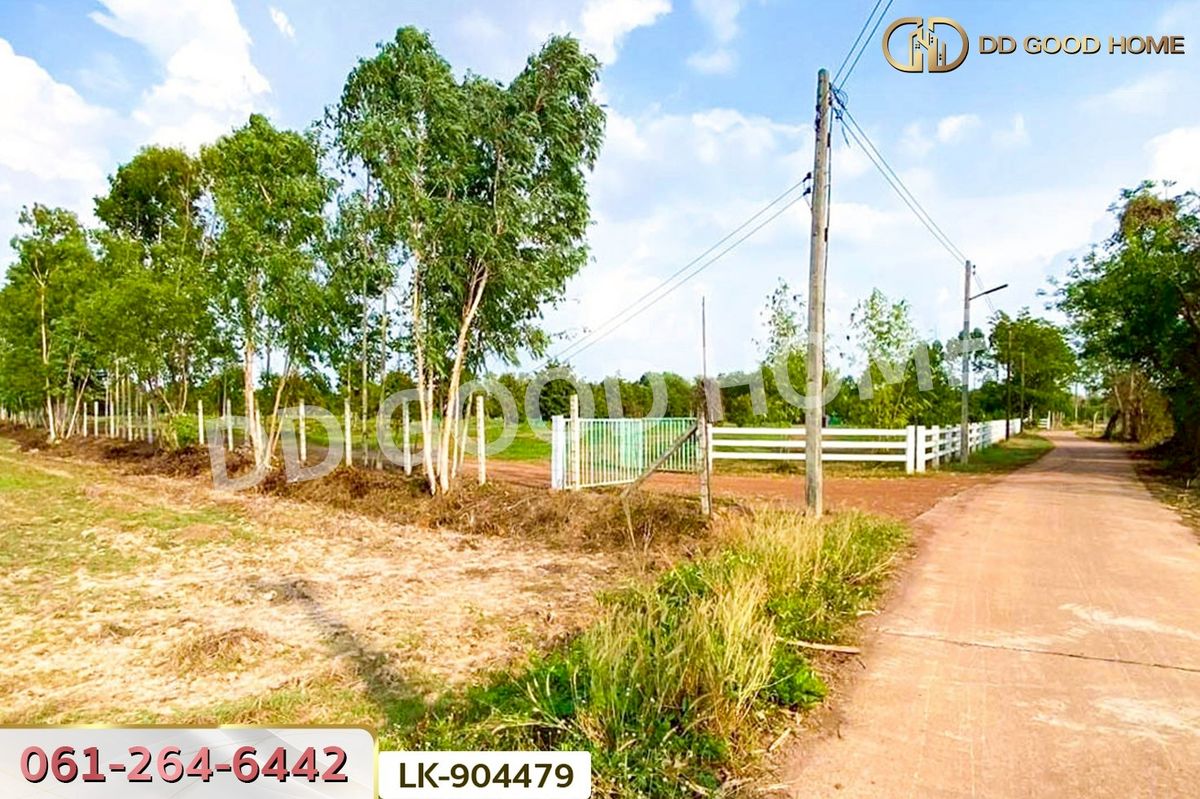 ขายที่ดินปราจีนบุรี : NI-904479 ที่ดินศรีมหาโพธิ 24 ไร่ 112 ตร.ว. ปราจีนบุรี ใกล้วัดหัวซาธรรมิการาม