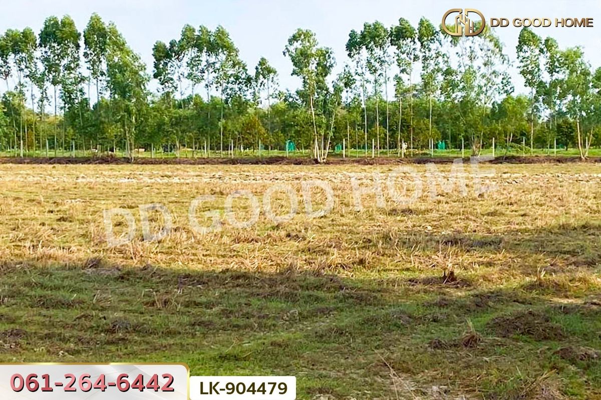 ขายที่ดินปราจีนบุรี : NI-904479 ที่ดินศรีมหาโพธิ 24 ไร่ 112 ตร.ว. ปราจีนบุรี ใกล้วัดหัวซาธรรมิการาม